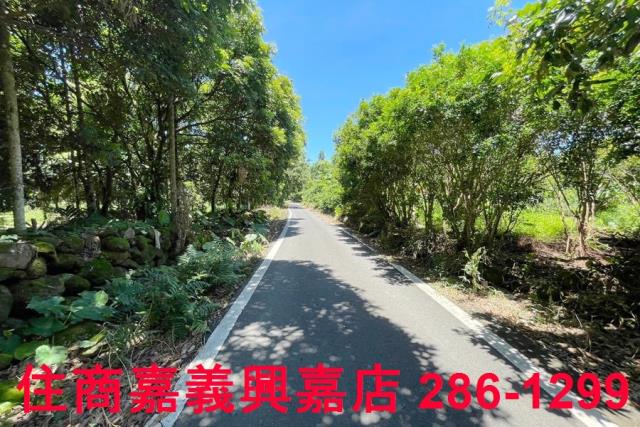 嘉義中埔農地-0