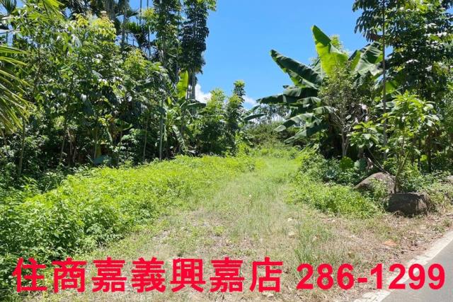 嘉義中埔農地-1