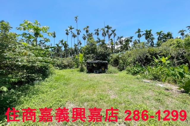 嘉義中埔農地-4