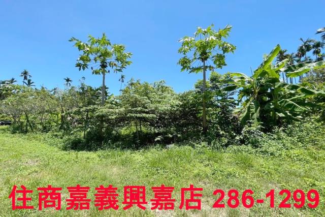 嘉義中埔農地-6