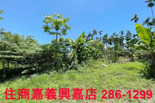 嘉義中埔農地-7