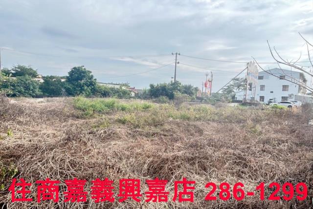 嘉義水上建地-4