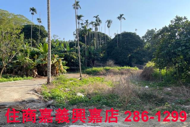 嘉義番路農地-1