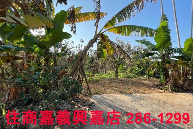 嘉義番路農地-3