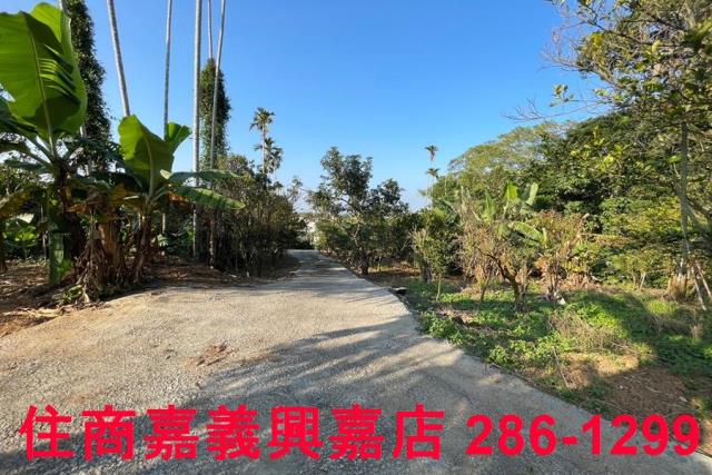 嘉義番路農地-4