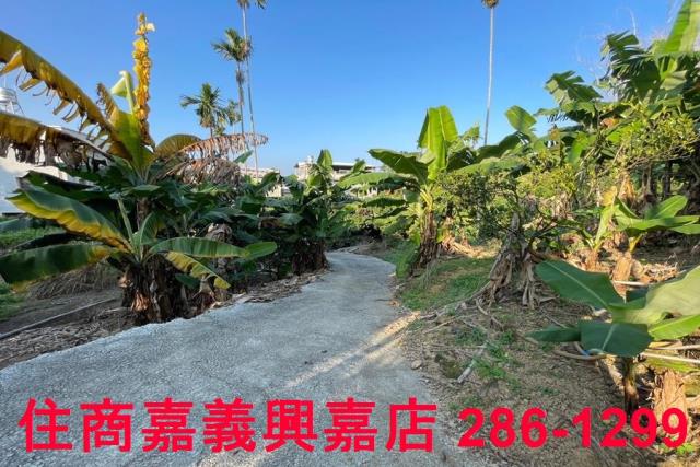 嘉義番路農地-5