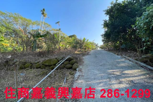 嘉義番路農地-6