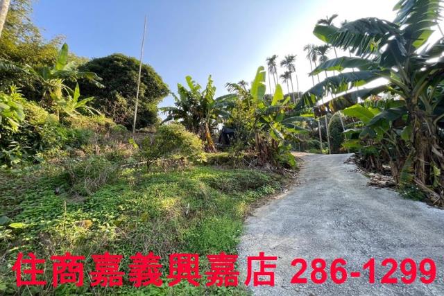 嘉義番路農地-7