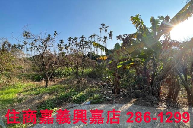 嘉義番路農地-8