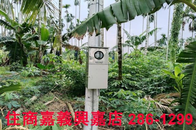 中埔農地-3
