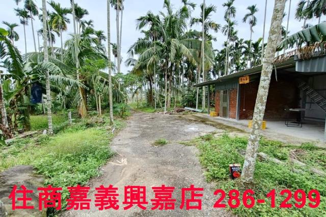 中埔農地-4