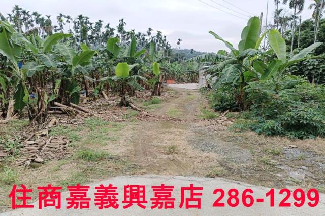 中埔農地-7