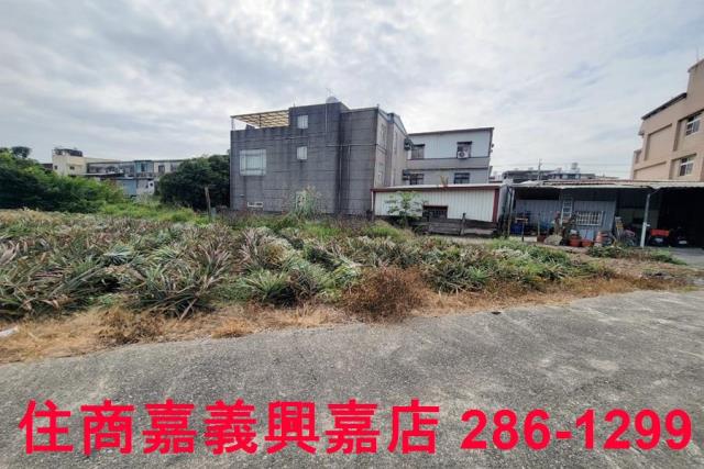 嘉義竹崎農地-5