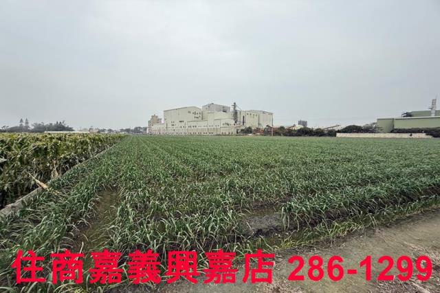 雲林建地-8
