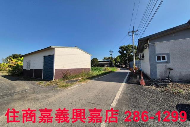 水上農地-0