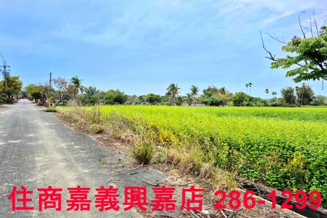 嘉義水上農地-9