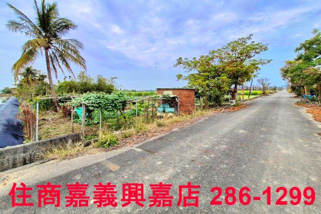 嘉義水上農地-1