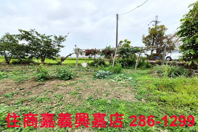 嘉義水上農地-4