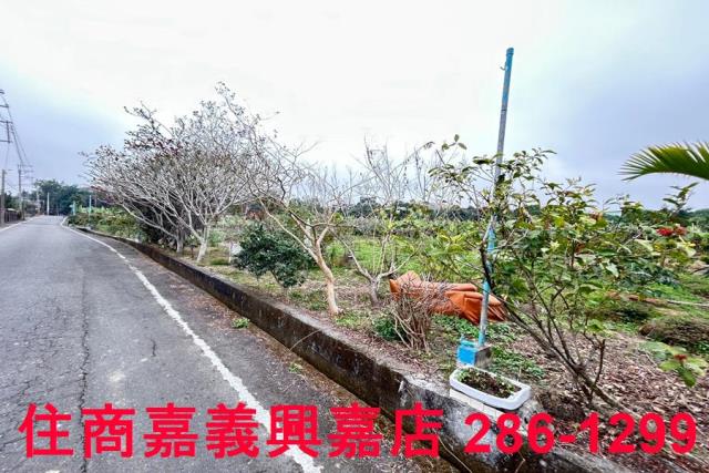 中埔農地-2