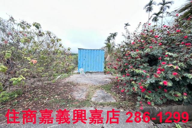 中埔農地-3
