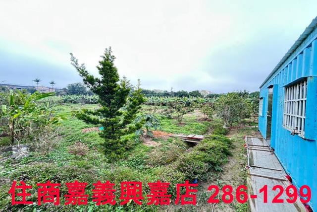 中埔農地-4
