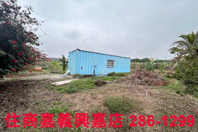 中埔農地-5