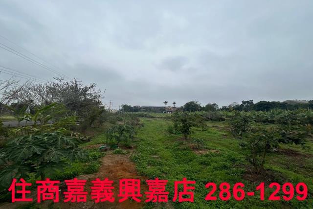 中埔農地-6