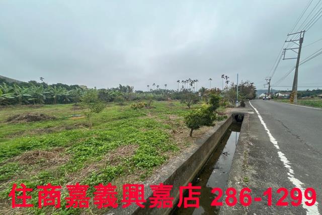中埔農地-8