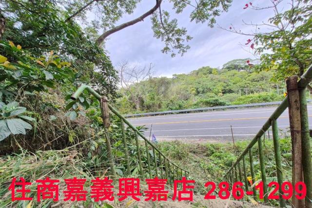 竹崎林地-13