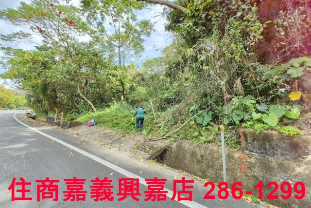 竹崎林地-1