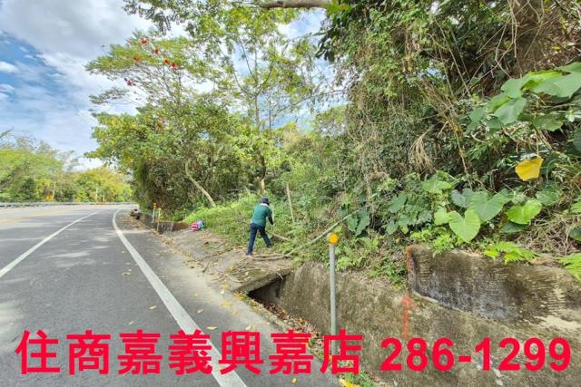 竹崎林地-2