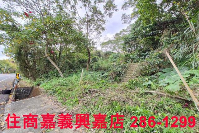 竹崎林地-5