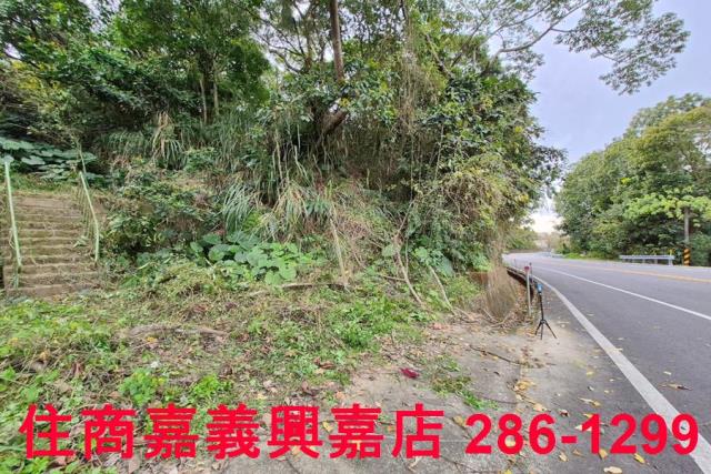 竹崎林地-7