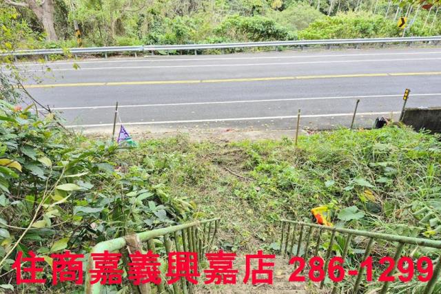 竹崎林地-8