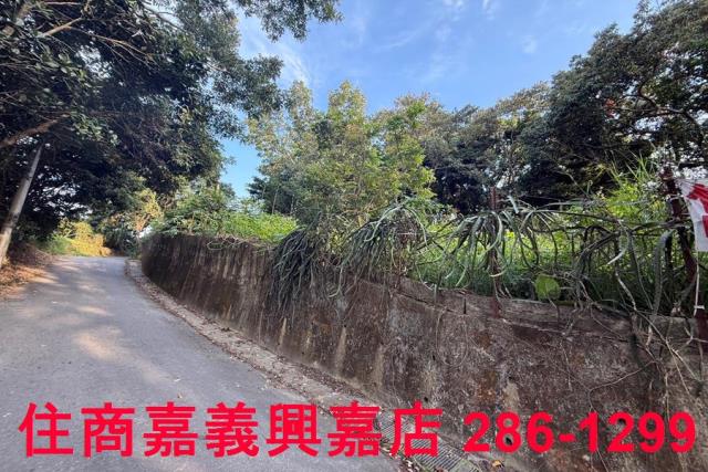 番路農地-9