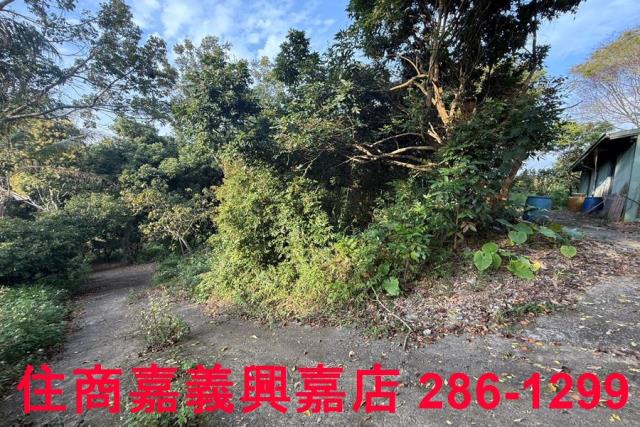 番路農地-2