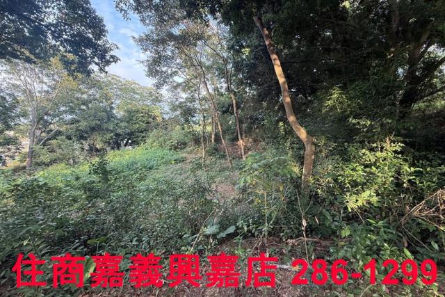 番路農地-4