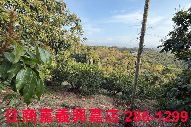 番路農地-5