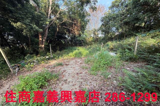 番路農地-6