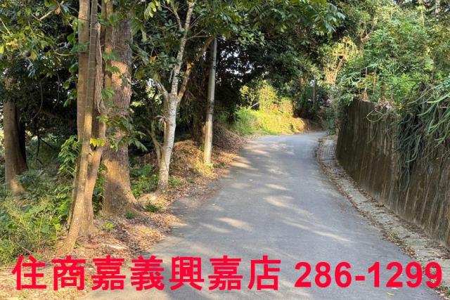 番路農地-8