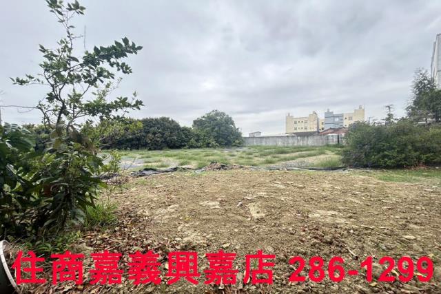 民雄農地-10