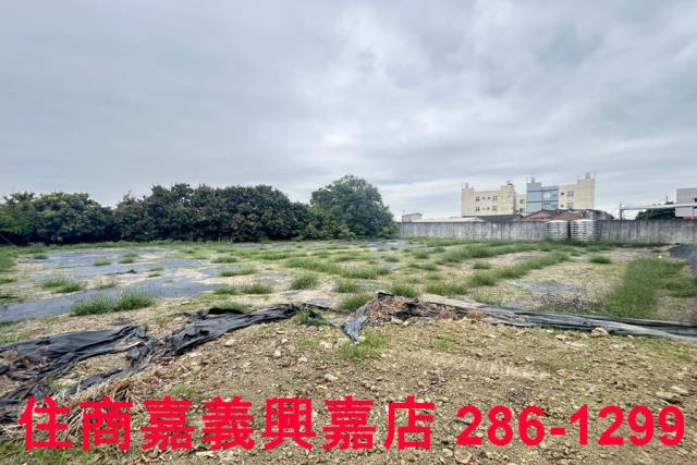 民雄農地-11