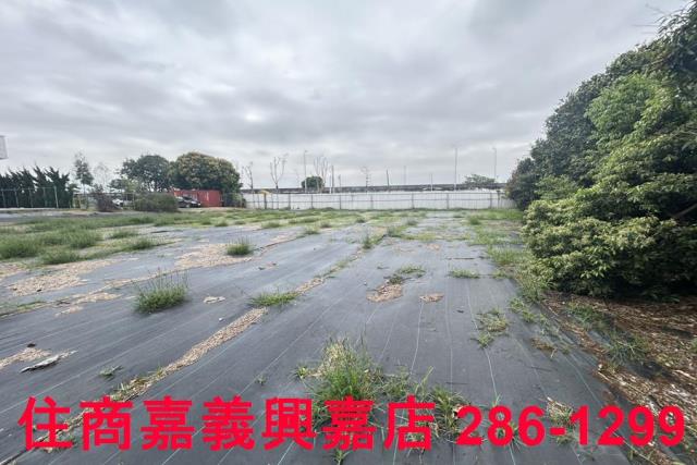 民雄農地-0