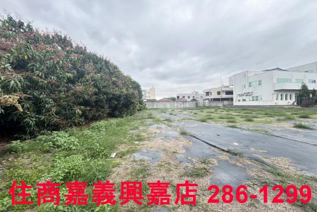 民雄農地-4