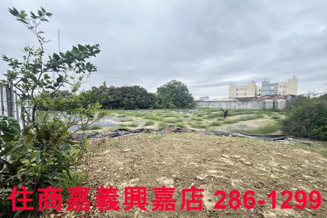 民雄農地-6