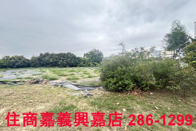 民雄農地-7