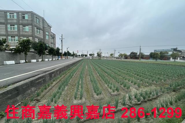 褒忠建地-1