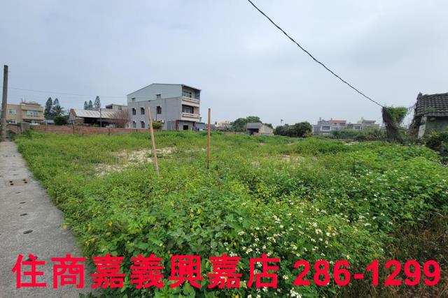 民雄農地-5