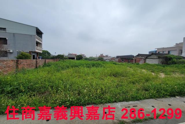 民雄農地-6
