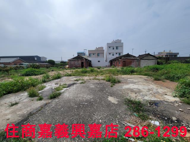 民雄農地-8